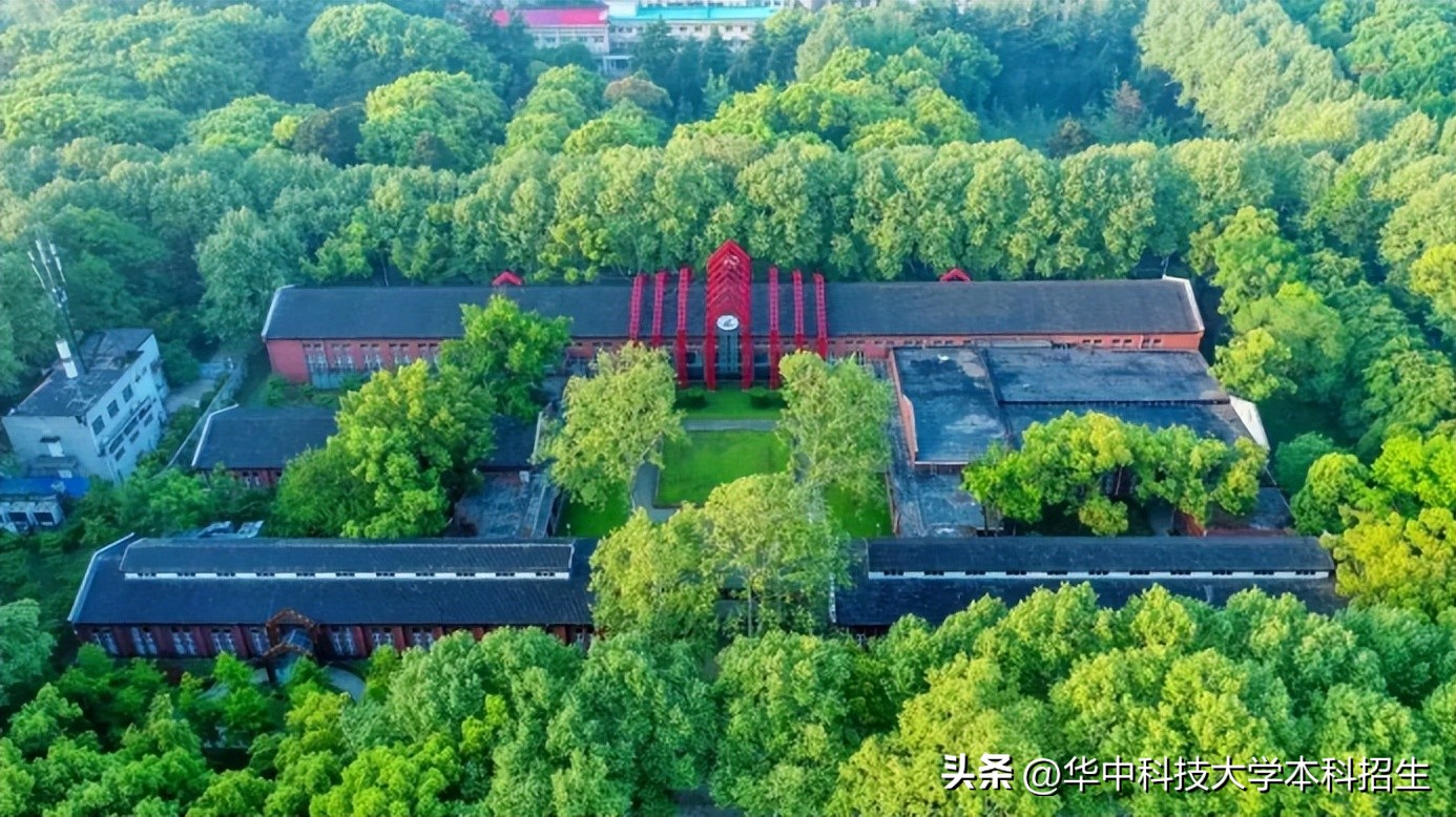 侵袭性真菌感染死亡率,全球侵袭性真菌感染