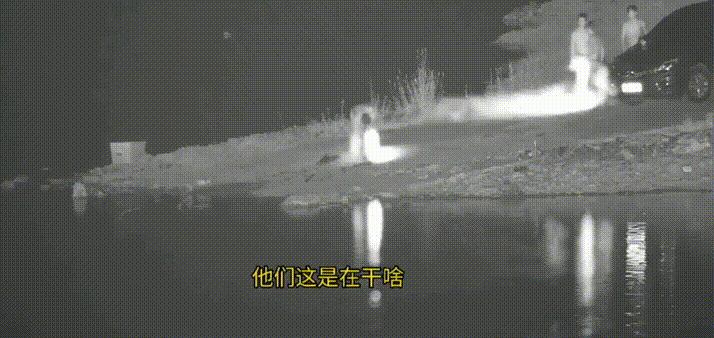 专业，潜水服都用上了！芷江4人潜水电鱼被抓