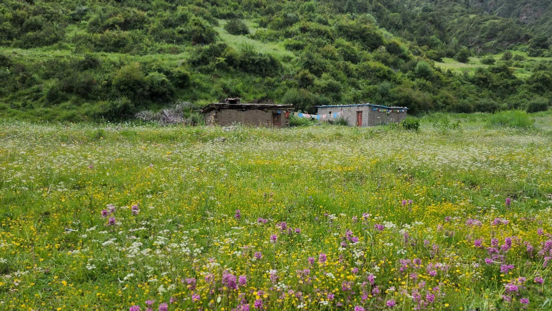 成都至青海大环线自驾游最佳路线,成都自驾青海湖最佳路线图