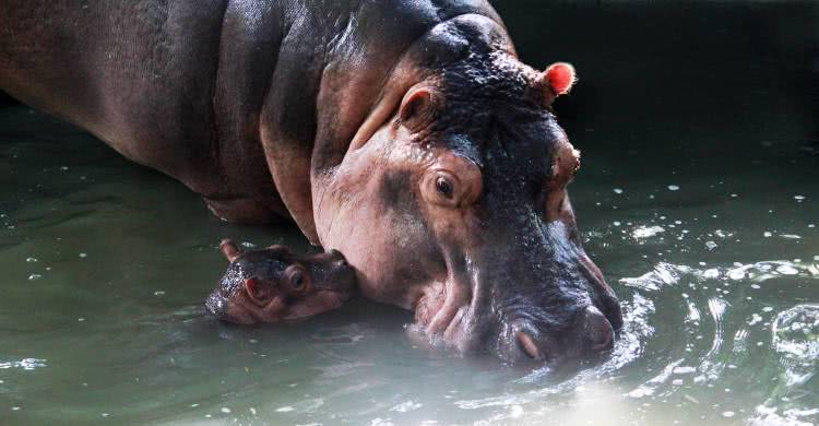 广州长隆酒店童趣乐园,广州游玩长隆性价比超高的酒店