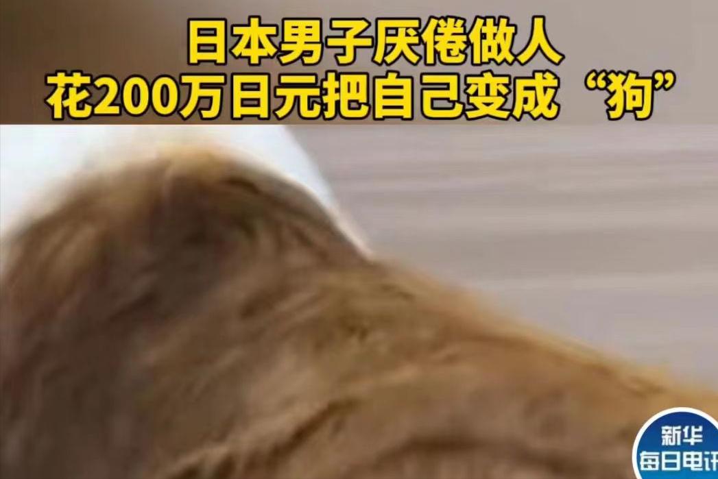 日本人花10万元把自己变成一条狗,日本一男子厌倦生活花200万变成狗