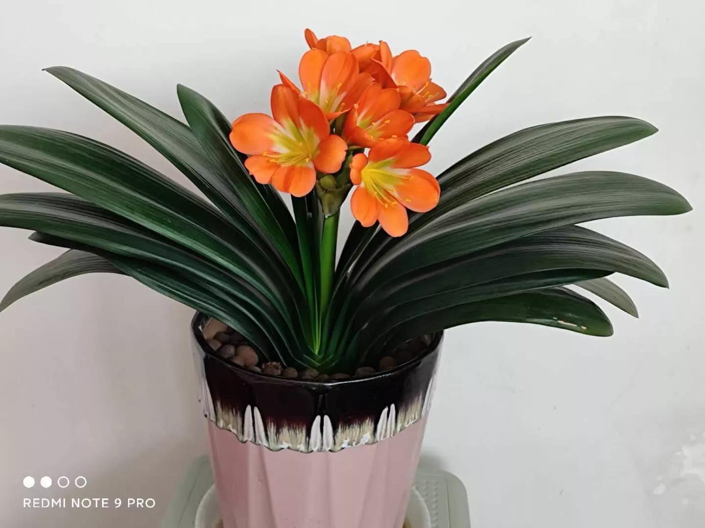 威海女多男少吗,威海独生女的数量