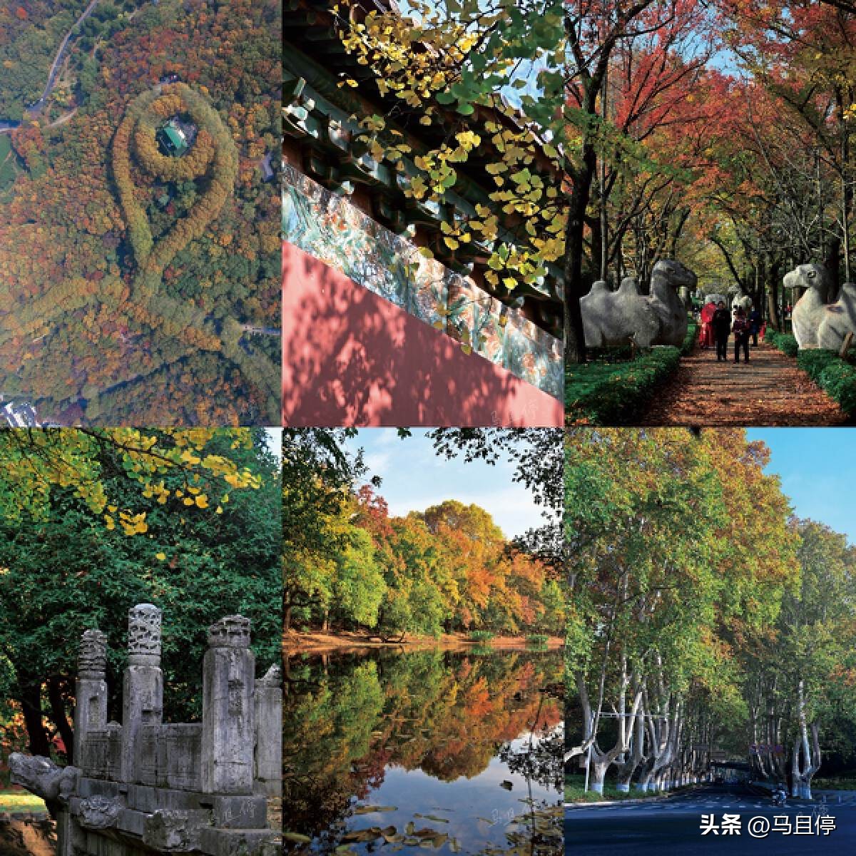 南京不知道去哪玩,南京一日游必去景点推荐玄武湖