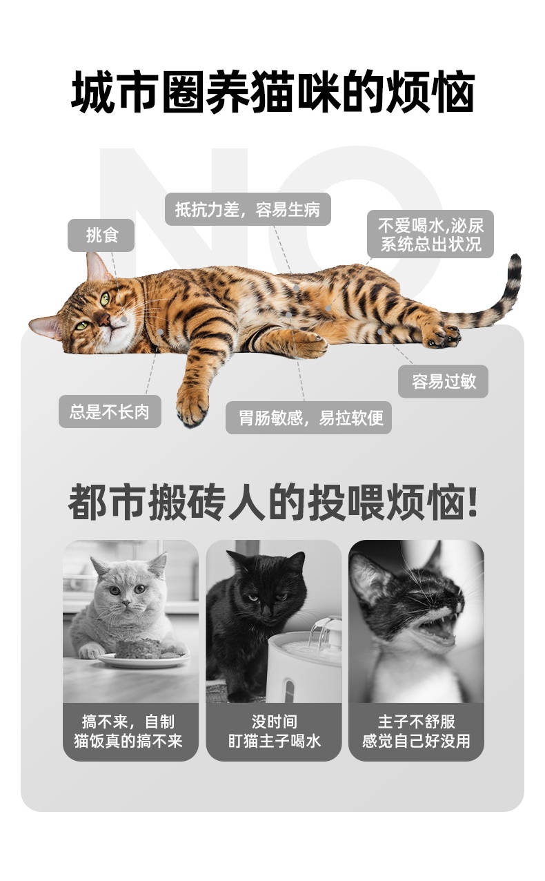 澳洲猫粮罐头推荐,澳洲进口罐头猫