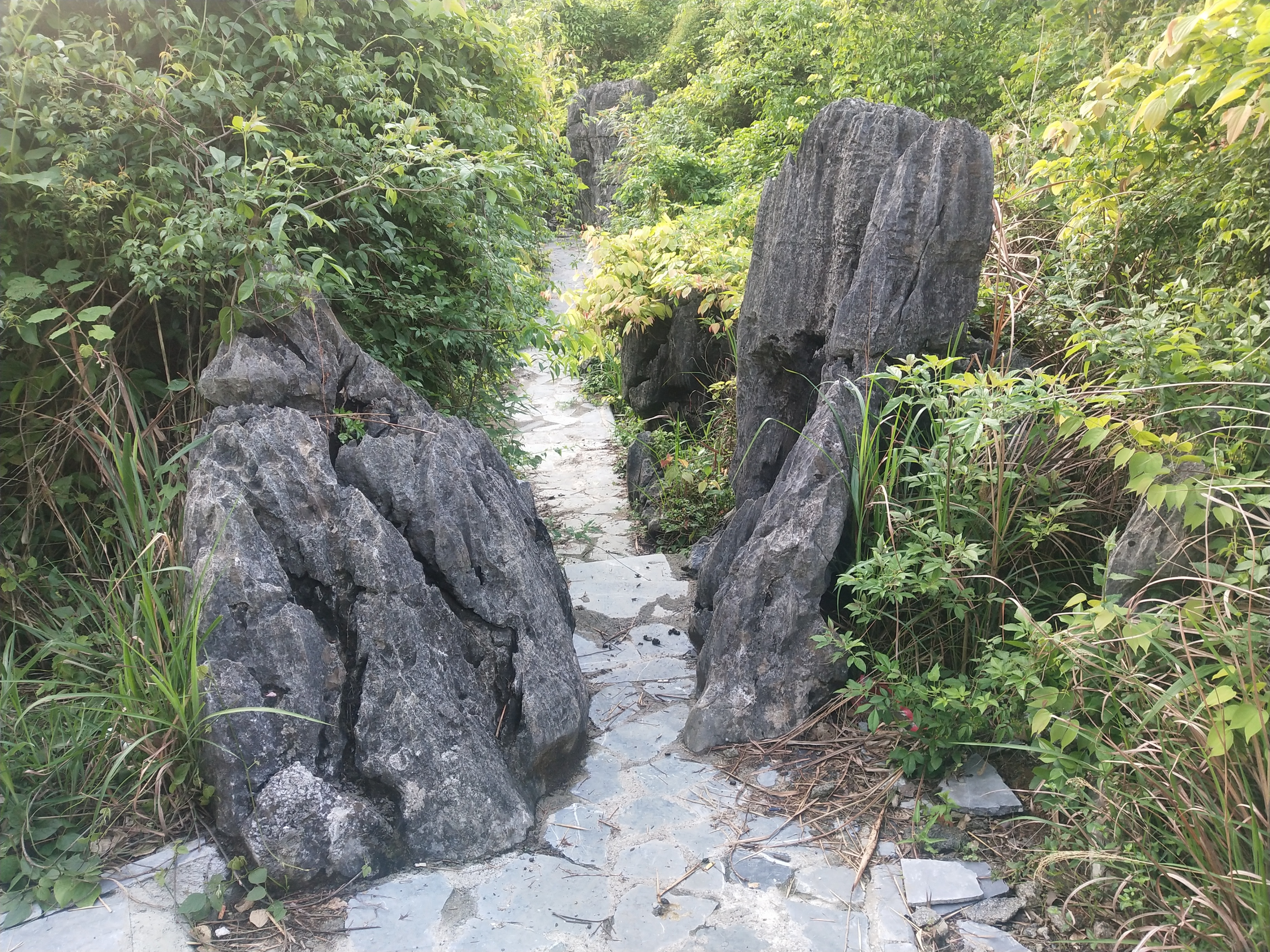 2020灌阳文市石林要门票吗,灌阳文市石林景区门票是多少