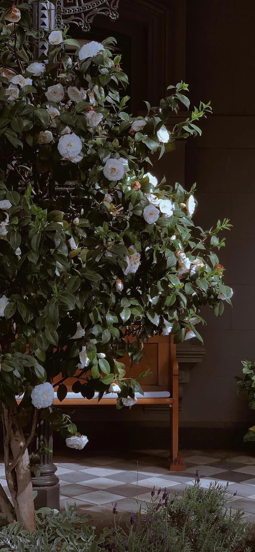 湛蓝的海水海滩风景高清壁纸,高清壁纸8k全屏无水印风景