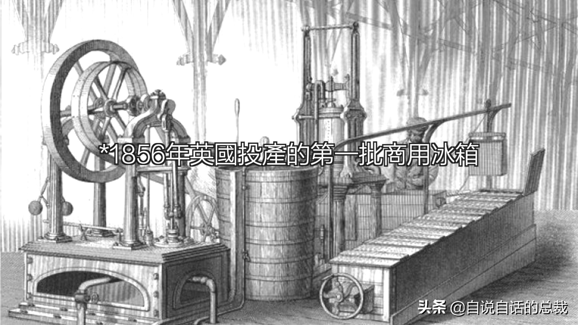 为什么鳕鱼卖的那么便宜,为什么买的鳕鱼特别松散