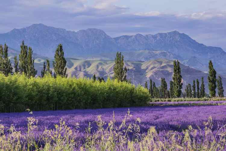 从新疆出发内地旅游省钱攻略,五一3-5天短途旅游推荐疆内