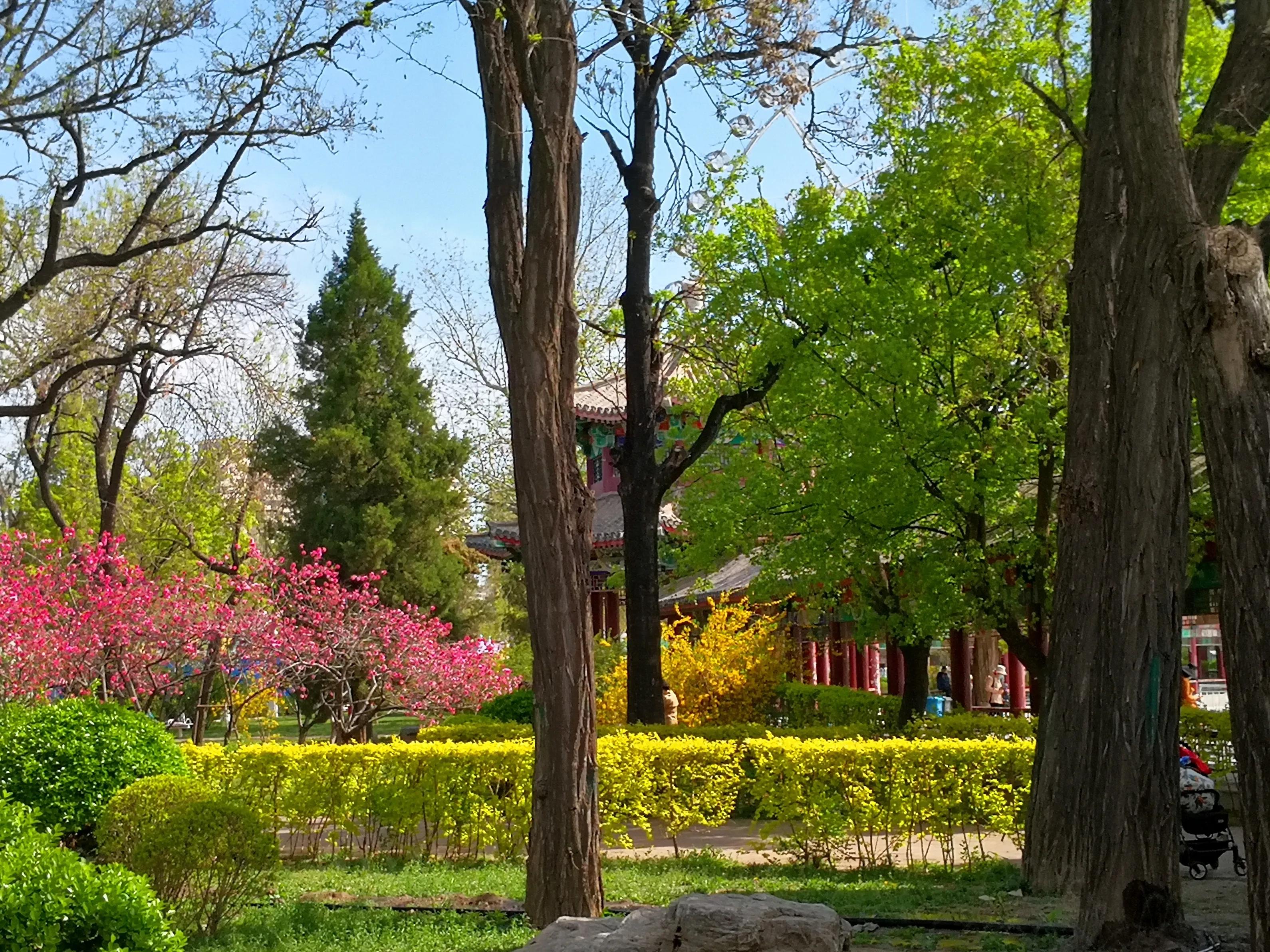 0511丽娣幸福日志第815篇