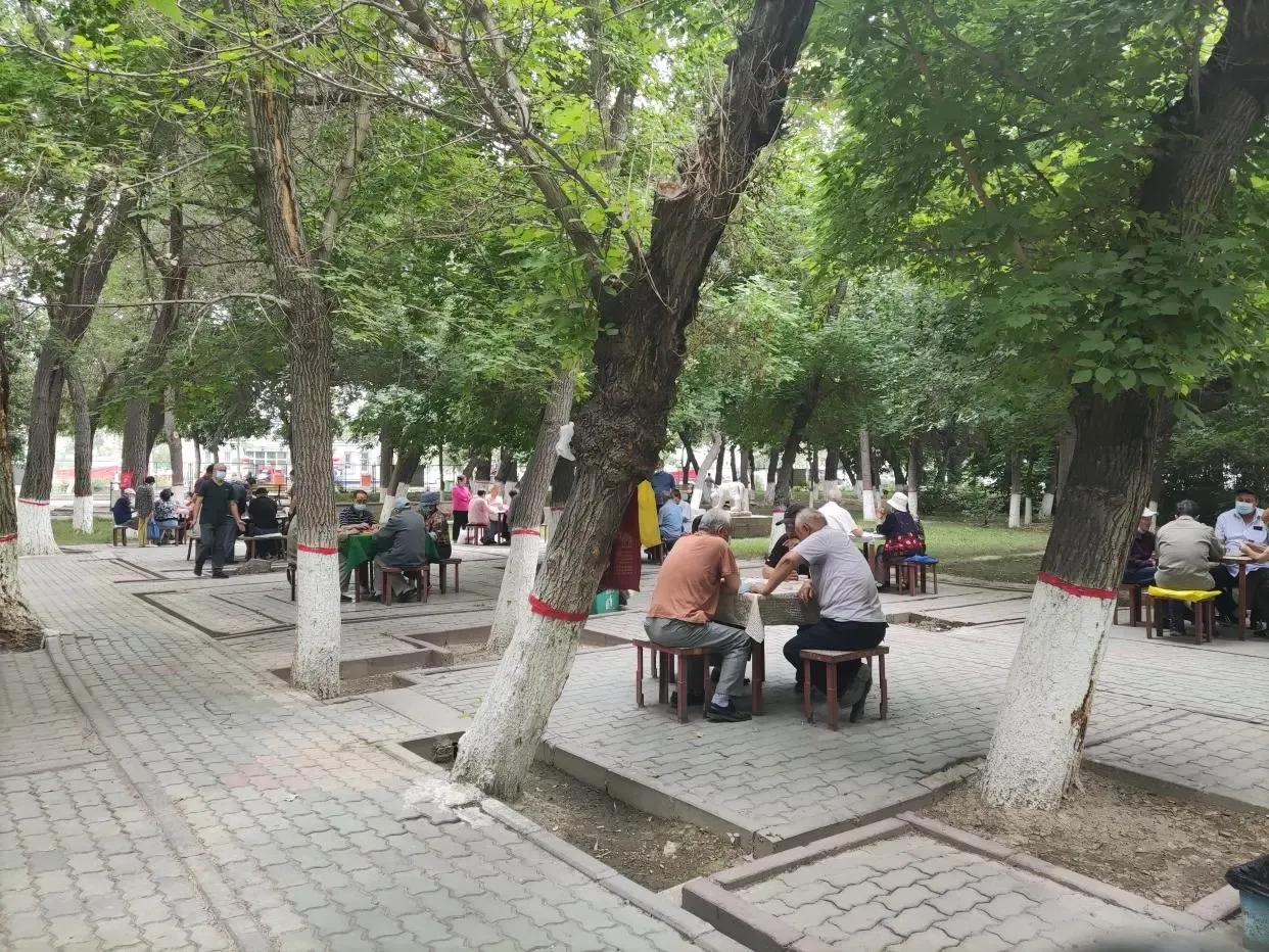 乌鲁木齐2020年十大公园,乌鲁木齐公园数量