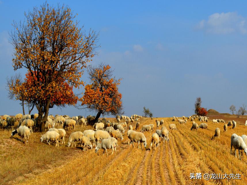闆佸寳涔″湡灏忚,闆佸寳涔″湡鏂囧