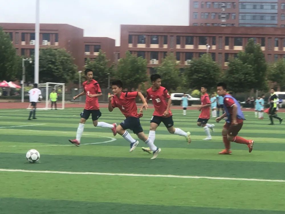 石家庄市神兴小学,石家庄神兴分校绿洲小学怎么样