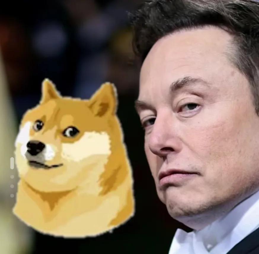 特斯拉又要降价小鹏怎么办,特斯拉掀起新一轮降价还敢买吗