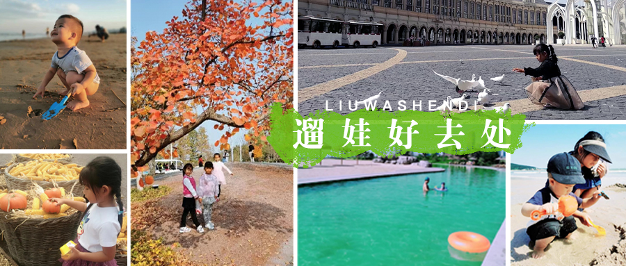 青岛第一浴场距离海底世界有多远,青岛带孩子玩的好去处推荐