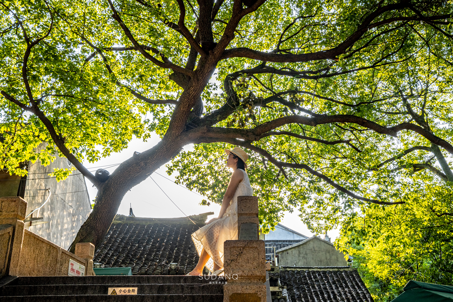 东方小威尼斯同里,同里东方威尼斯