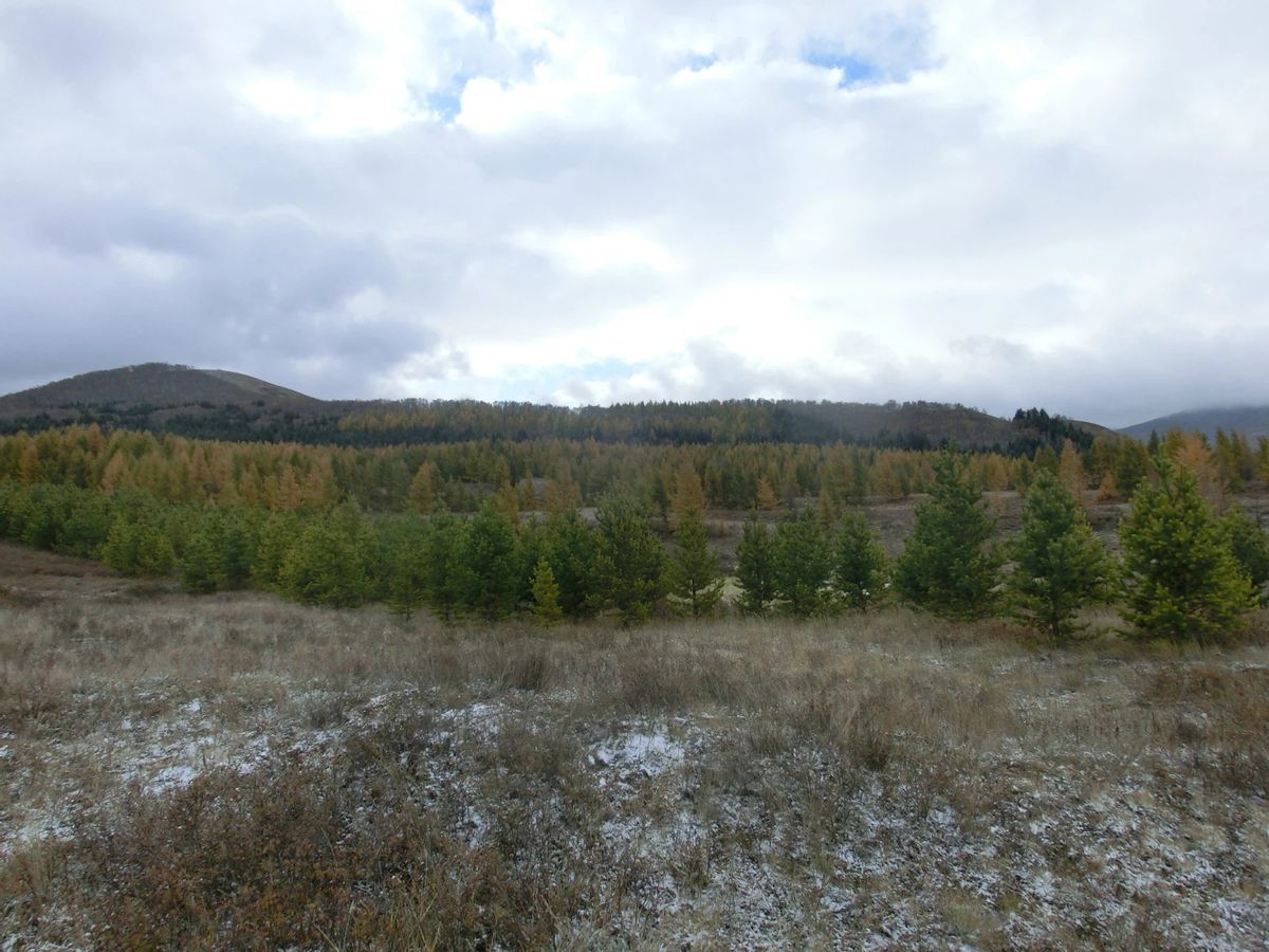 金秋时节登山视频,金秋登太行免费完整版