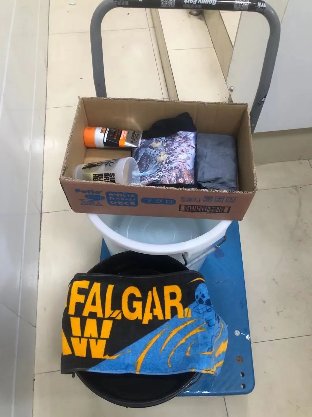 疫情与那些养爬行动物的人