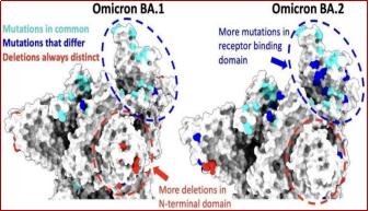 宝鸡疫情防控短信提醒通知,宝鸡高风险疫情防控消息