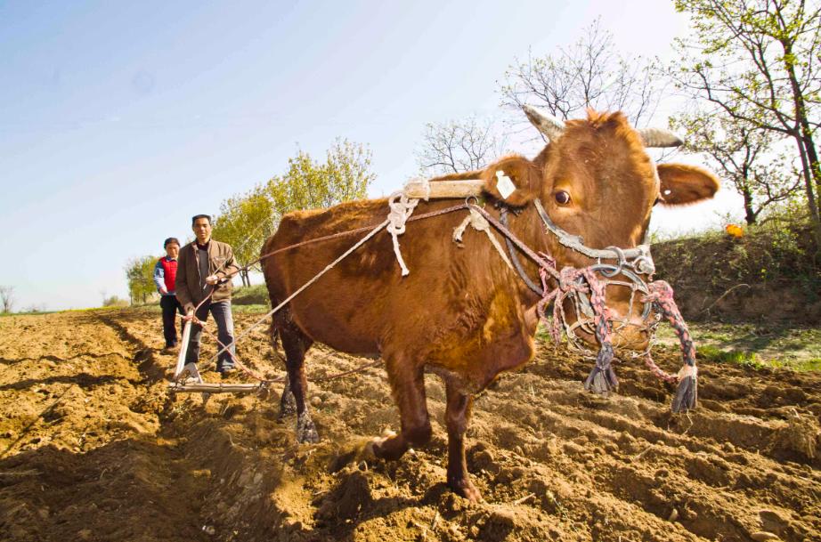 春耕备耕正当时七绝诗歌,春耕时节诗词鉴赏