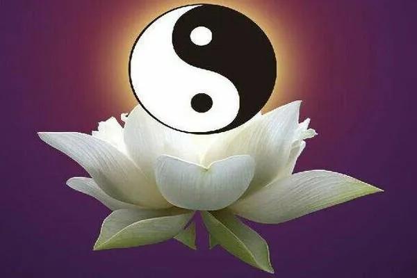 师傅说缘起缘落,师傅说缘浅的人去不了普陀山