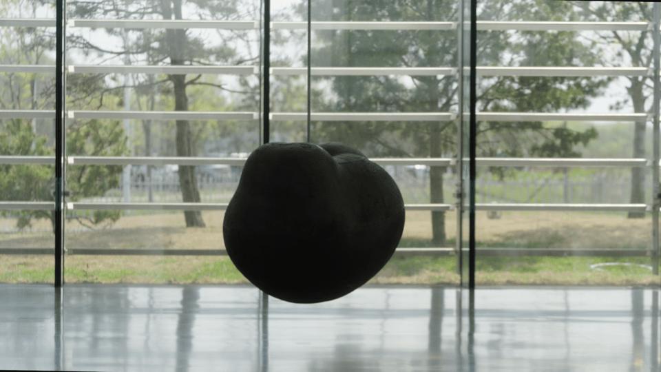 最极致的体型,世界最高身材