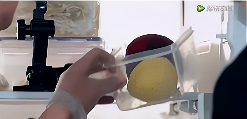 毛不易减肥前后对比照片,毛不易减肥最新照片