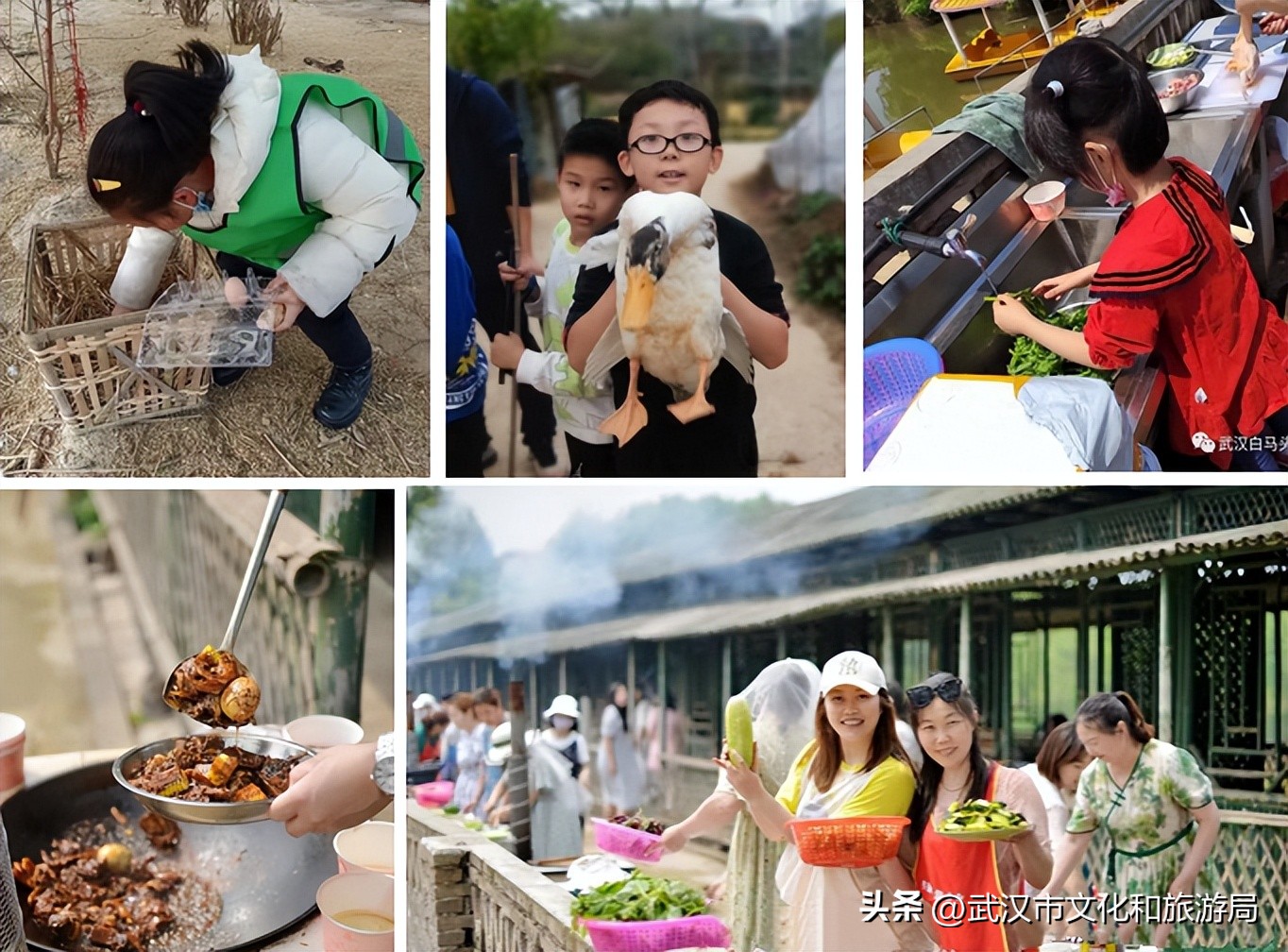 端午江夏旅游攻略,端午节江夏哪儿玩