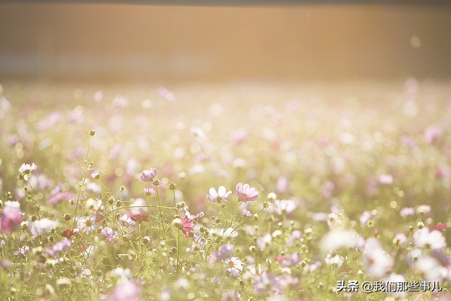 梦见一个人去世了是好梦还是坏梦,梦见离世的人是什么征兆