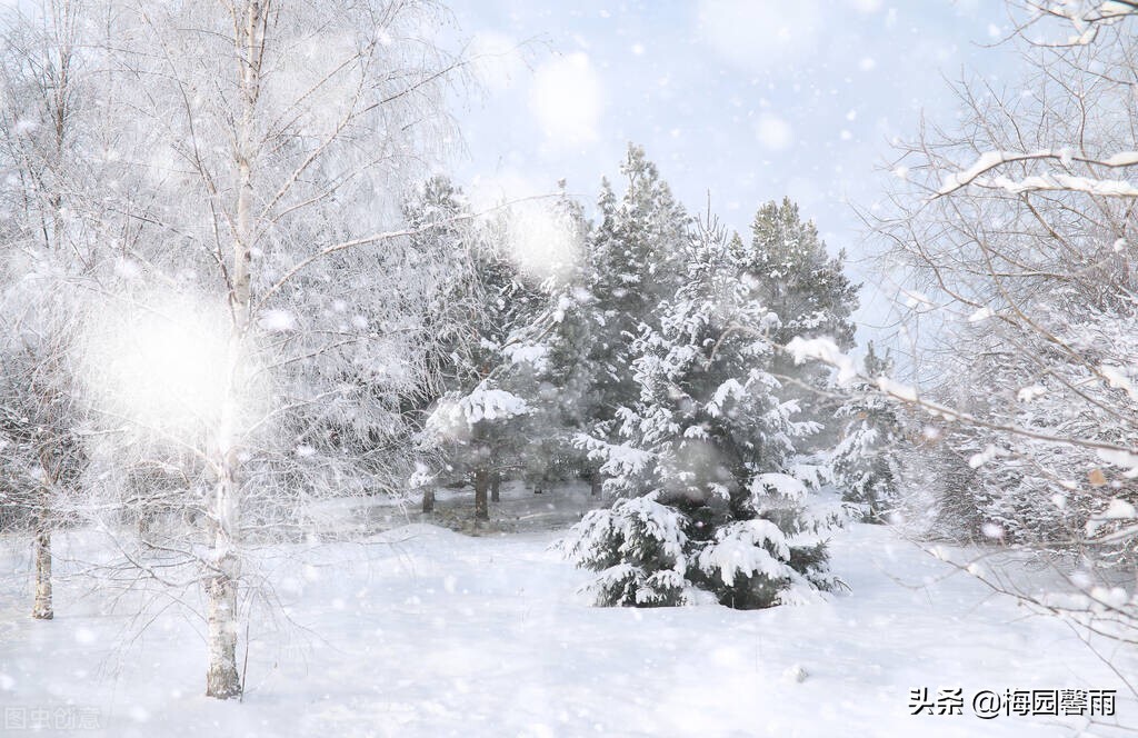 情人节999朵玫瑰,情人节雪花飞舞