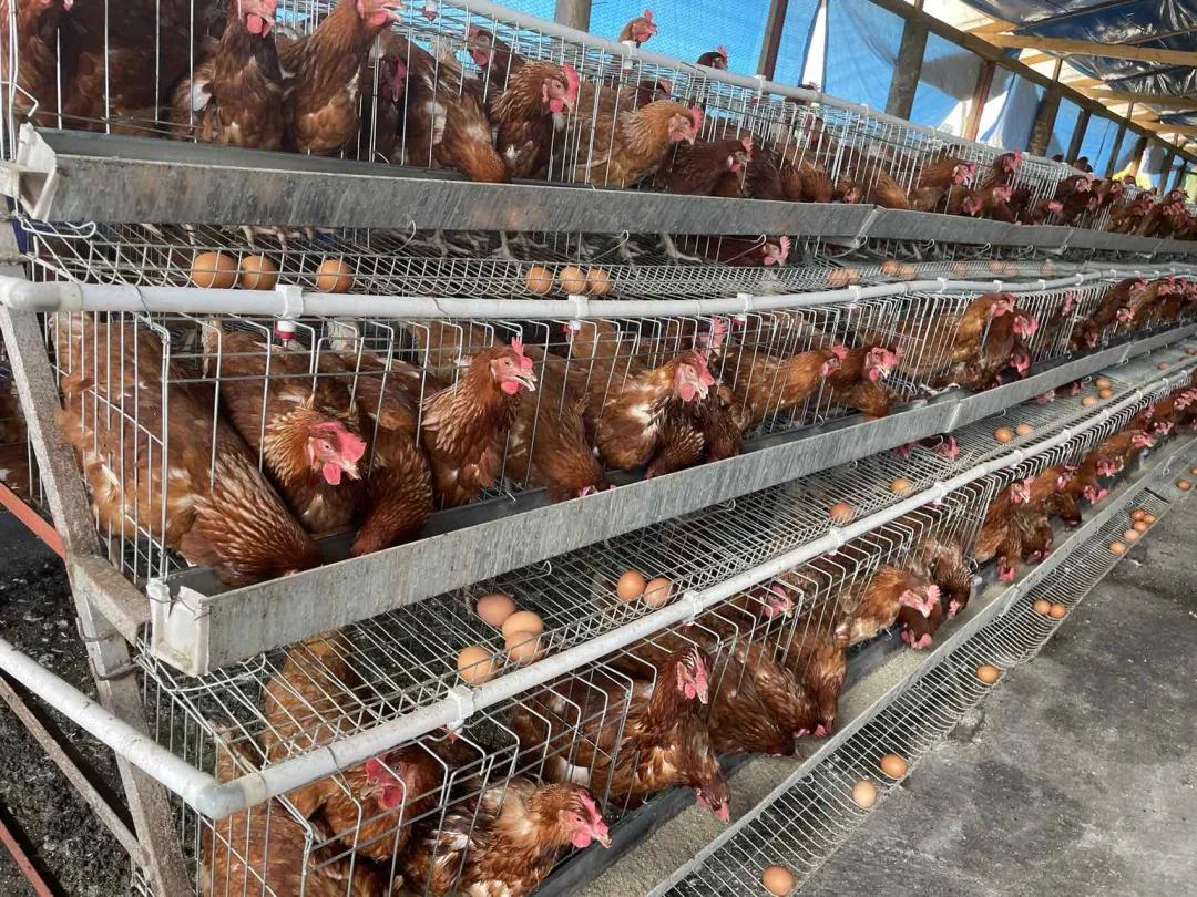 老汤创业,老汤生活记录