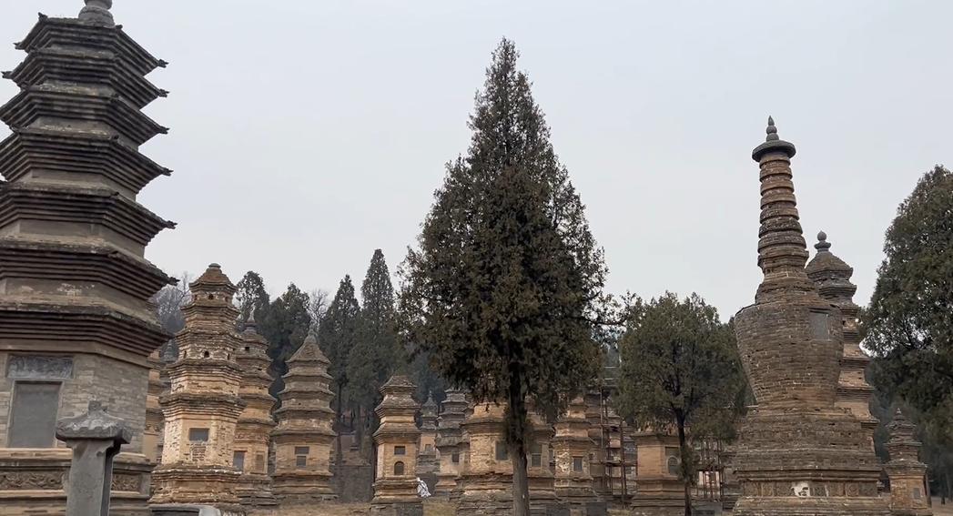 郑州春节遛娃游玩排行榜前十名,郑州冬季周末遛娃好去处