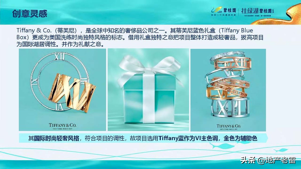 碧桂园精准发展方案,碧桂园的商品房改造方案