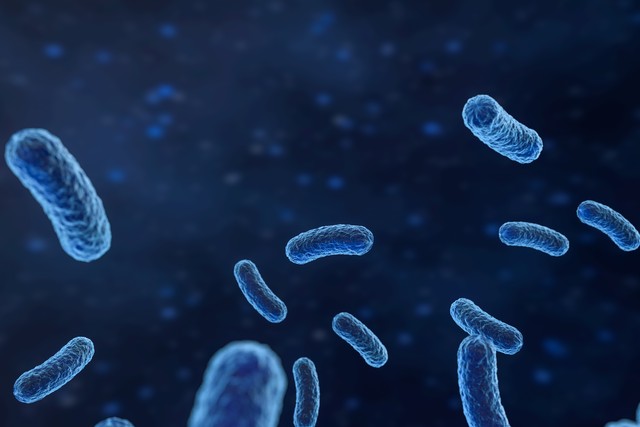 怀孕吃什么养胎儿,怀孕吃什么养胎不胖