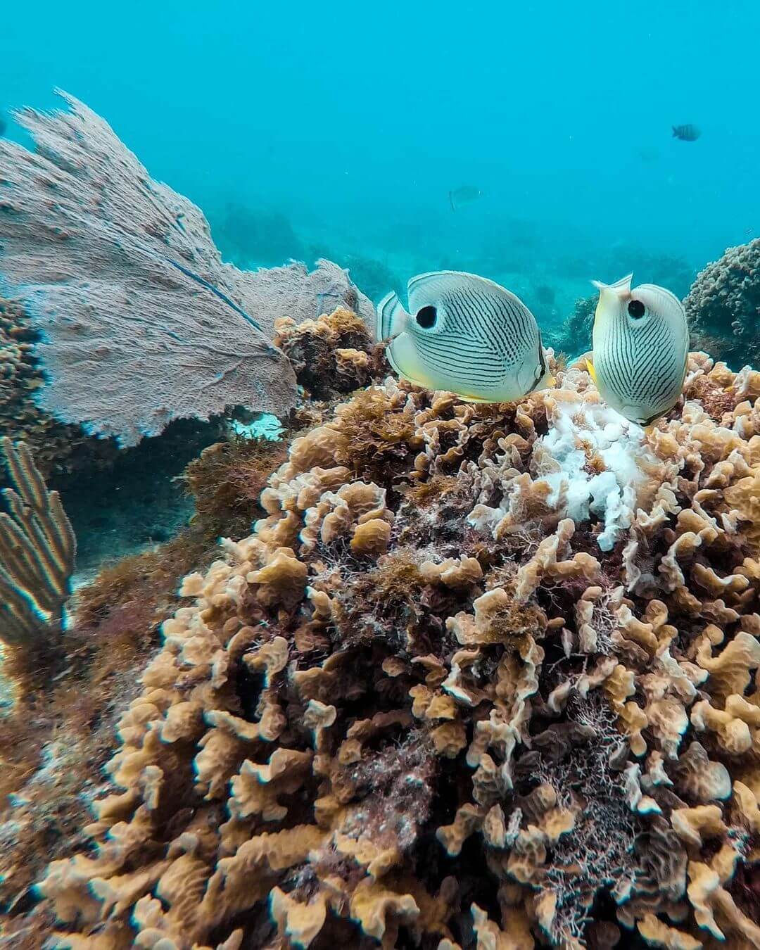 墨西哥坎昆玛雅金字塔,双旦旅游重庆
