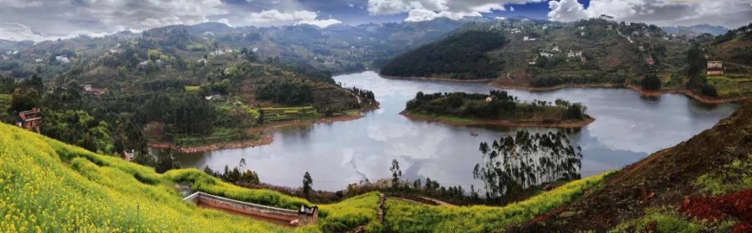 永川仙龙油菜花基地,仙龙油菜花节