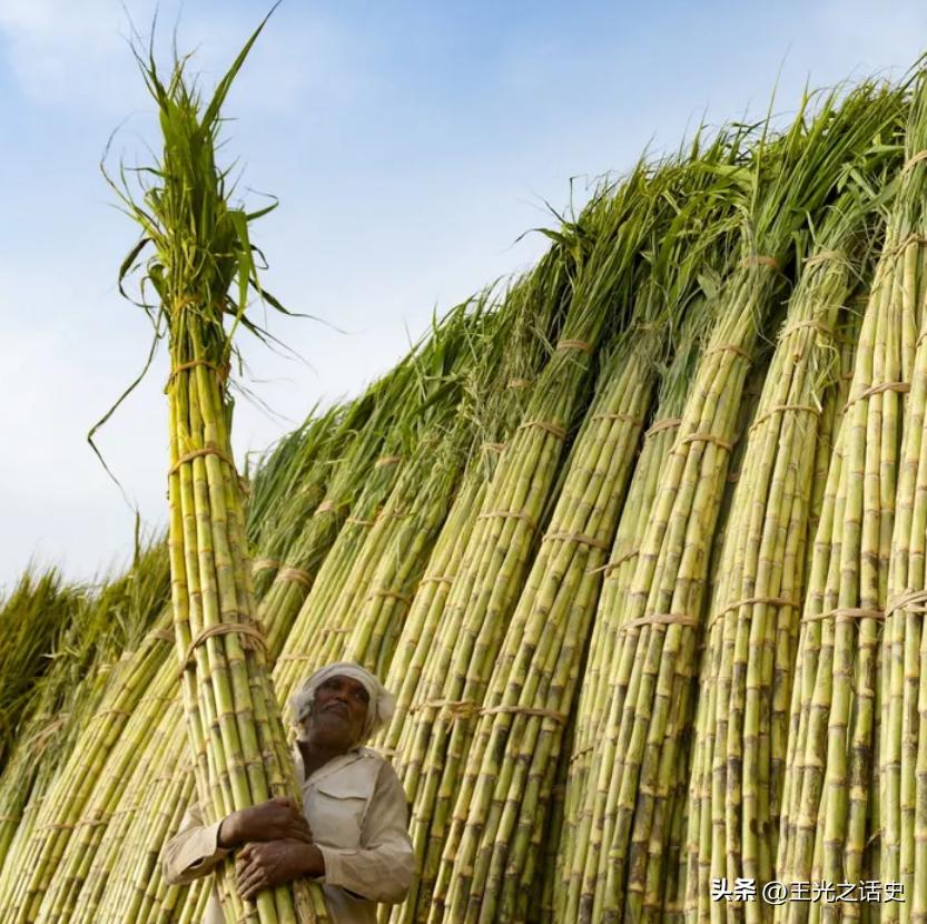 巴铁是巴基斯坦还是巴勒斯坦,巴基斯坦和巴铁是一个地方吗