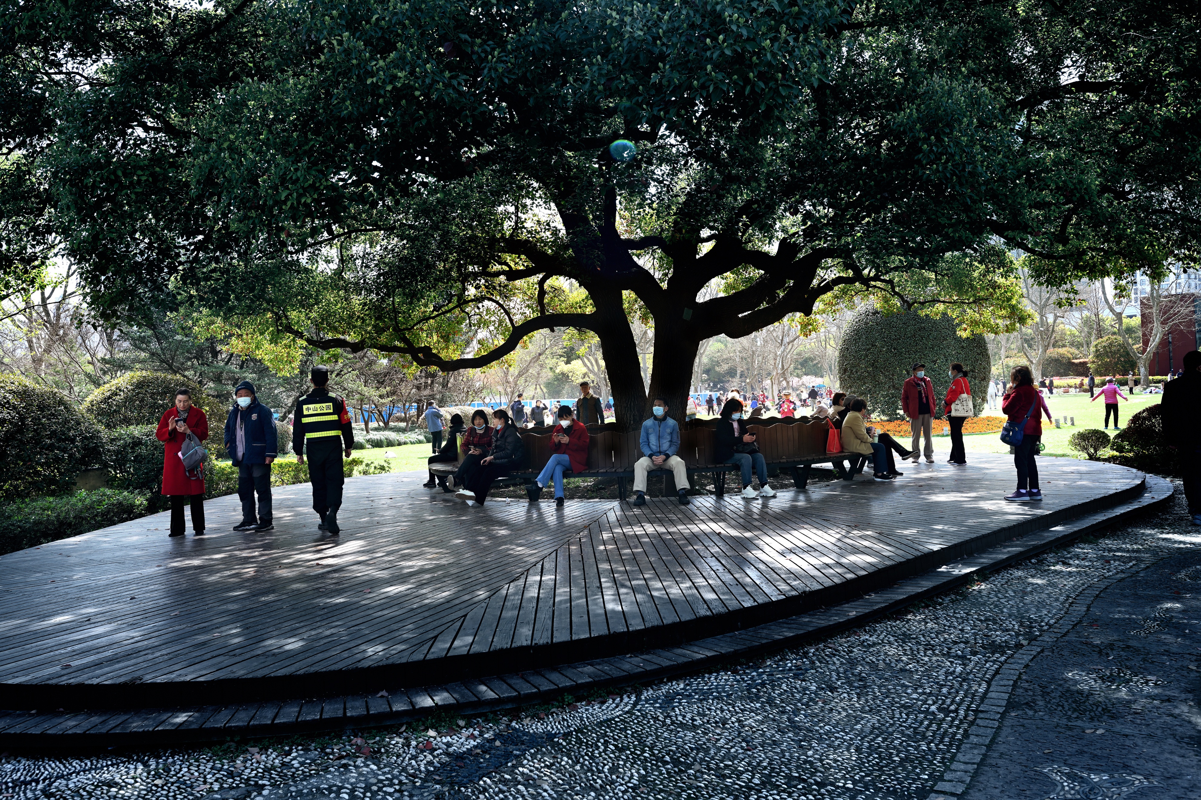 目前的上海中山公园,最新上海中山公园介绍