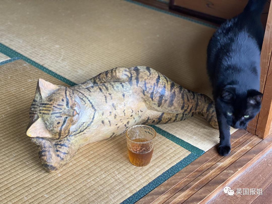 木头雕刻作品猫,手工雕刻木雕小猫