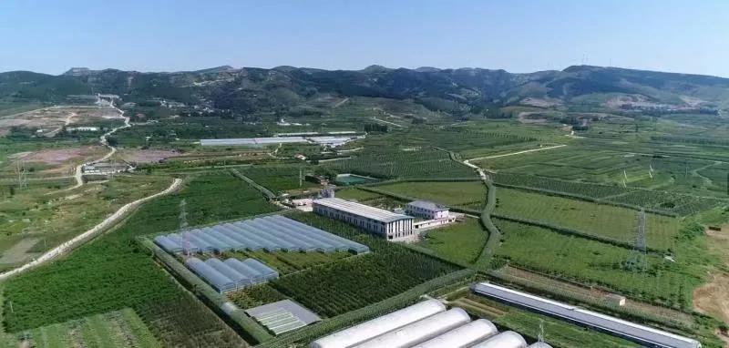 山东创丰农业科技有限公司小程序,会员风采展示