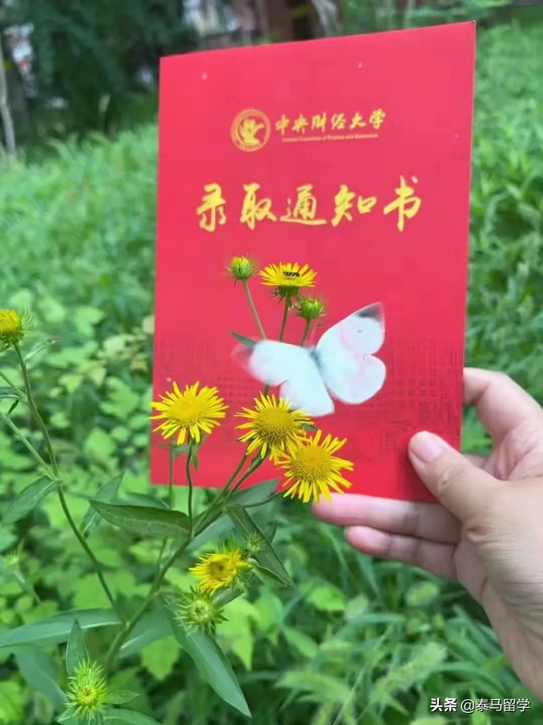 中央财经大学保险学院国际本科,中央财经大学保险学院3+1国际本科