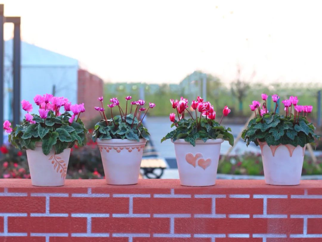 娉曞浗鑾幈灏斾粰瀹㈡潵鍝佺,鑾幈灏斾粰瀹㈡潵