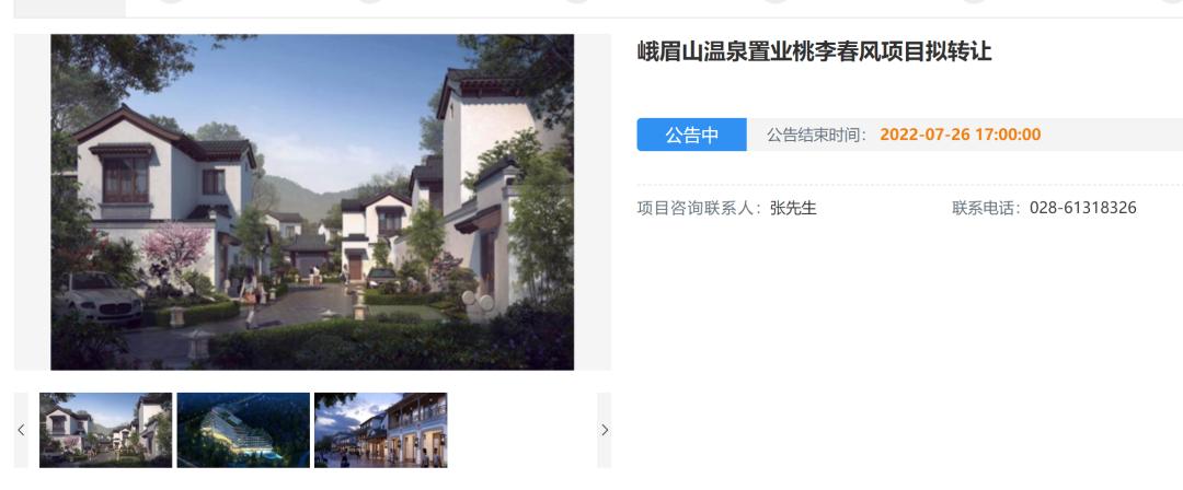 峨眉桃李春风,峨眉山市桃李春风