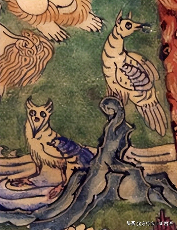 藏传佛教如何面对死亡,尸场