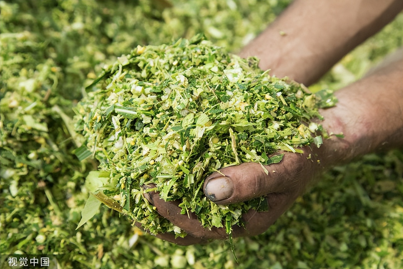 发酵饲料和非发酵饲料的特点,发酵饲料与发酵配合饲料的区别