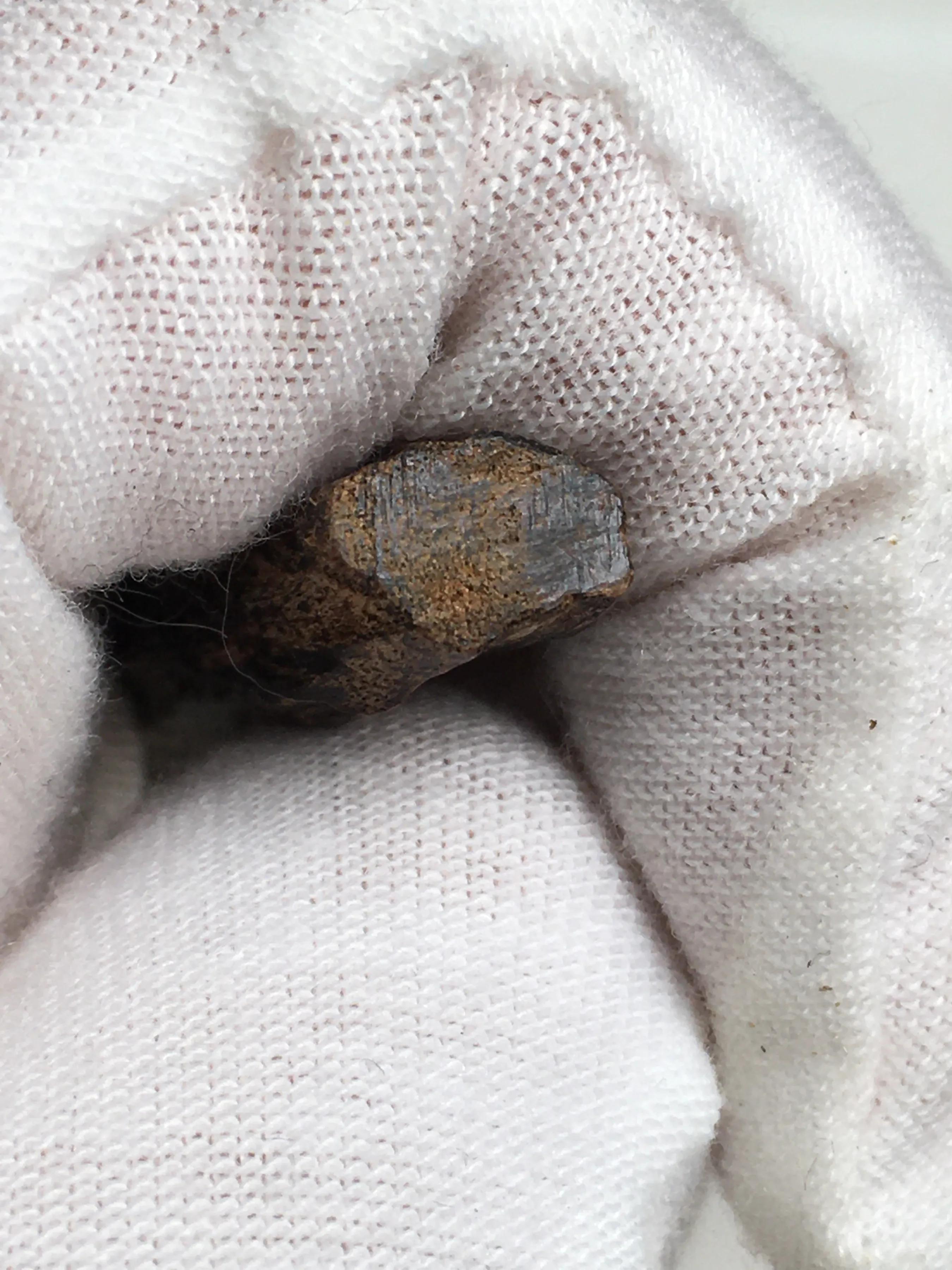 香港沉香属于星洲不,香港与沉香的关系