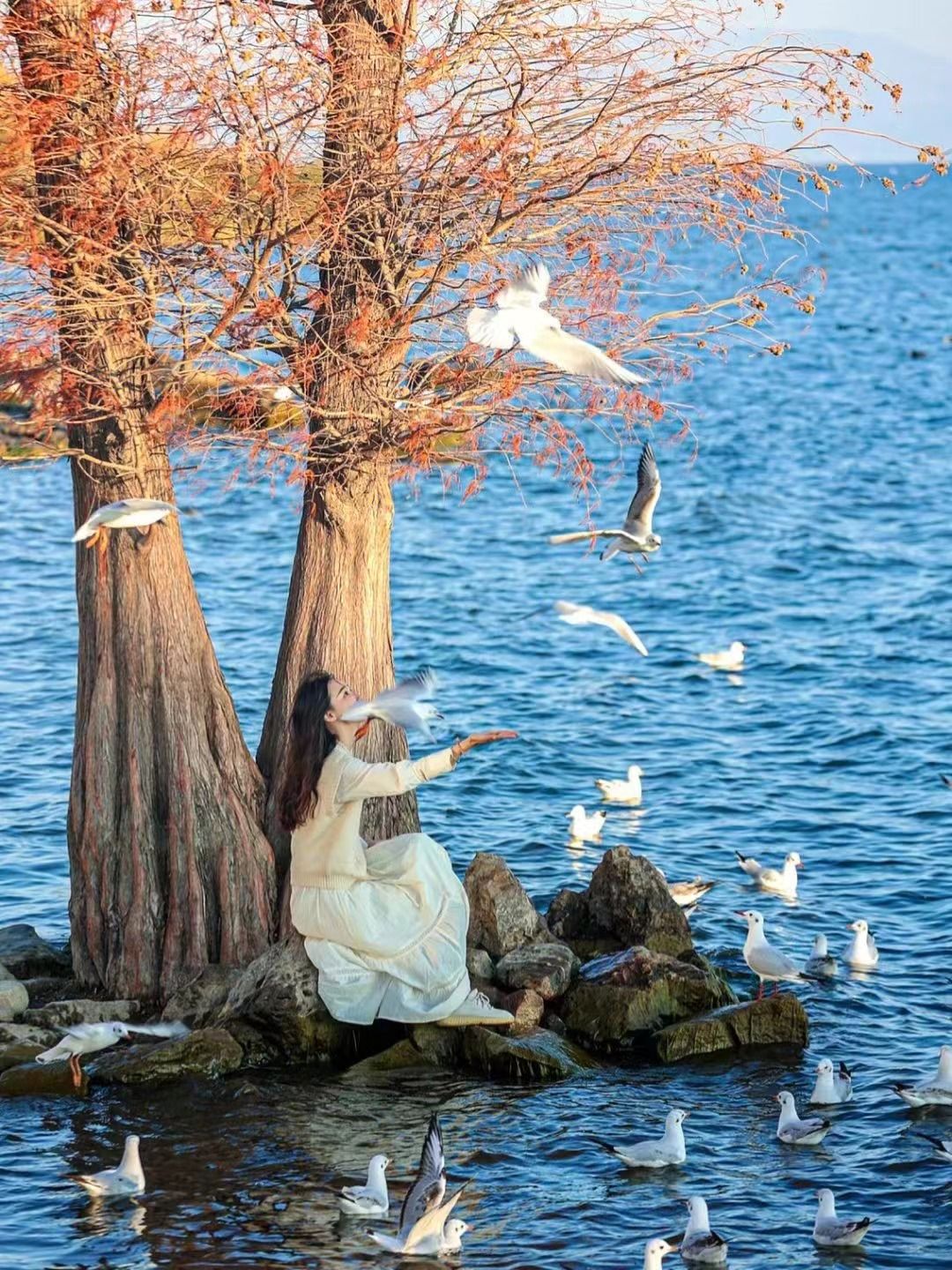 云南旅游攻略云南民族村一日游,云南旅游攻略云南气温