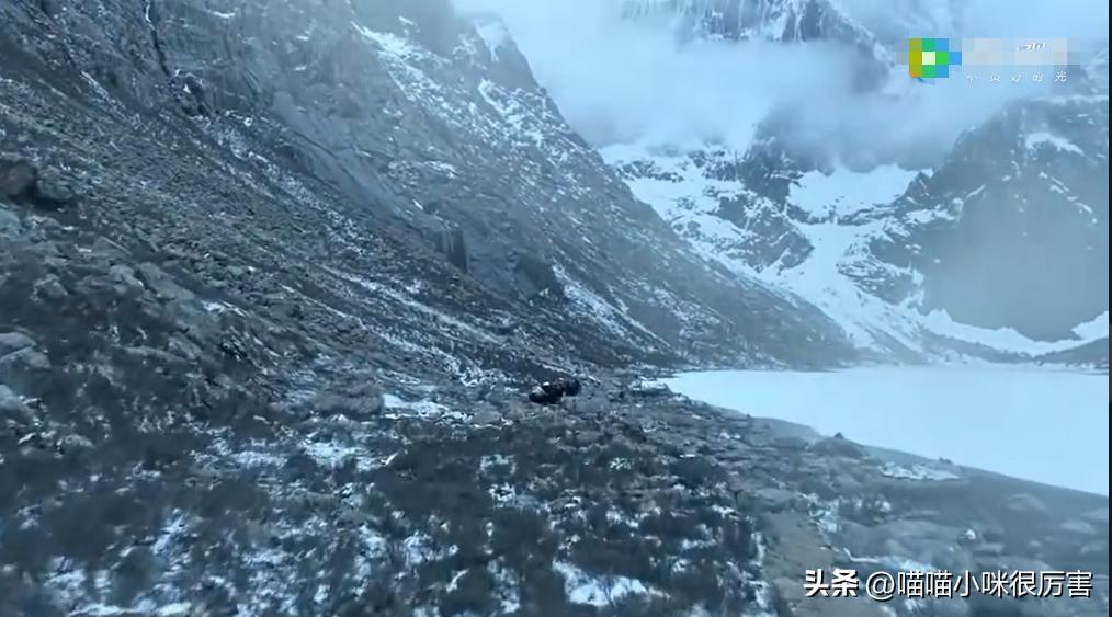 2022年电视剧人世间,2022十部公认好剧