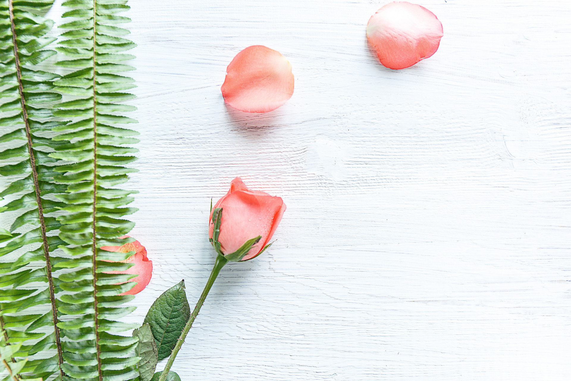 三年的婚外情人怎么放下,放不下一个婚外的男人怎么办