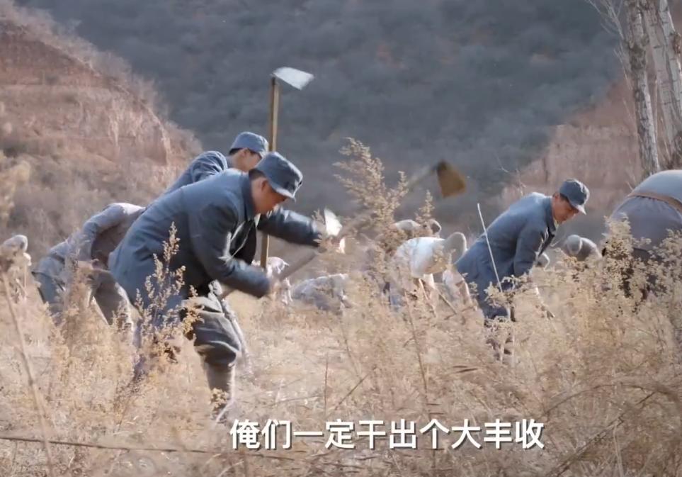 央视八套定档繁花,央视八套预告