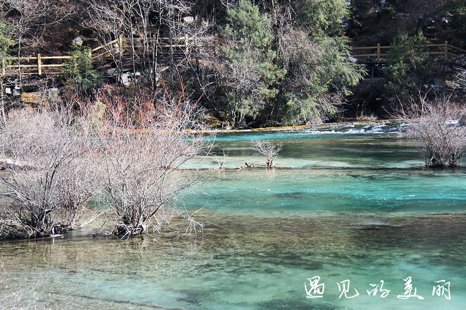 如果一生只去一个古城,一生去一次九寨沟